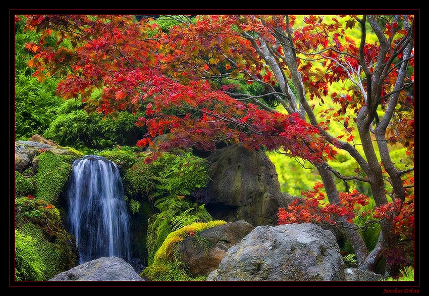 Japanise Tea Garden - San Francisco