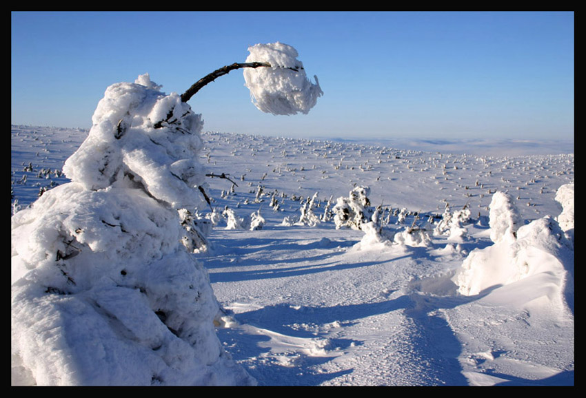 ZIMA NA ŚNIEŻCE