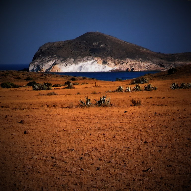 mi sangre hizo la tierra roja /naranjada/