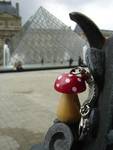 L\\\'amanite et le Louvre