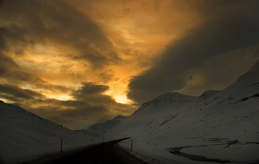 Wild Iceland