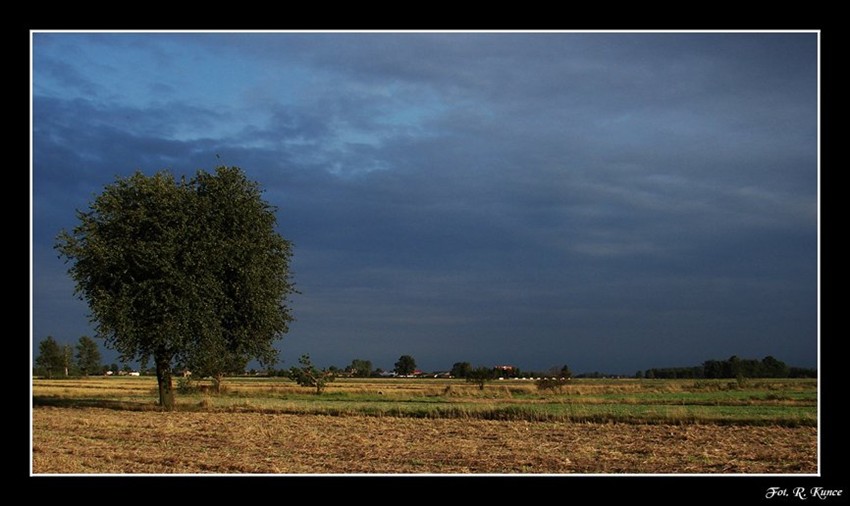 Cisza przed burzą