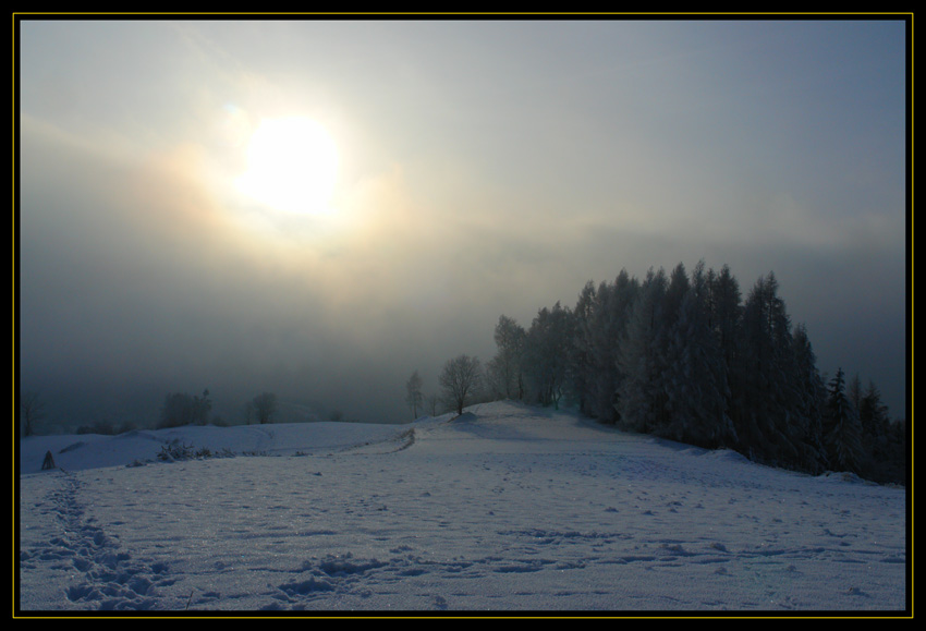 Pola nad Piwniczną