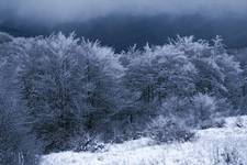 Bieszczady - Październik 2007