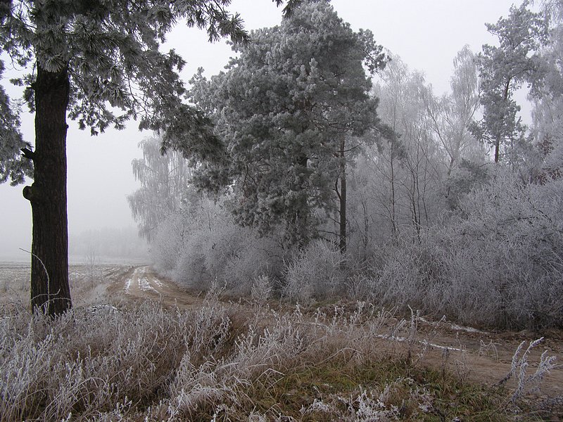 Szadzią malowane