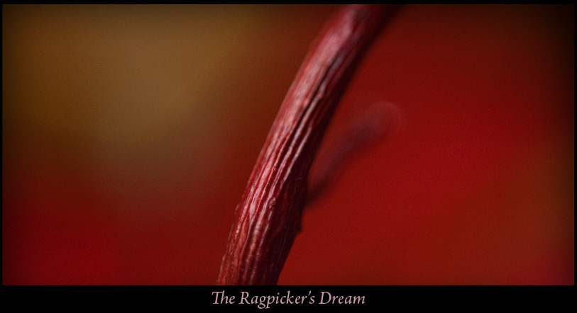 Ragpickers Dream