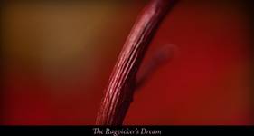 Ragpickers Dream