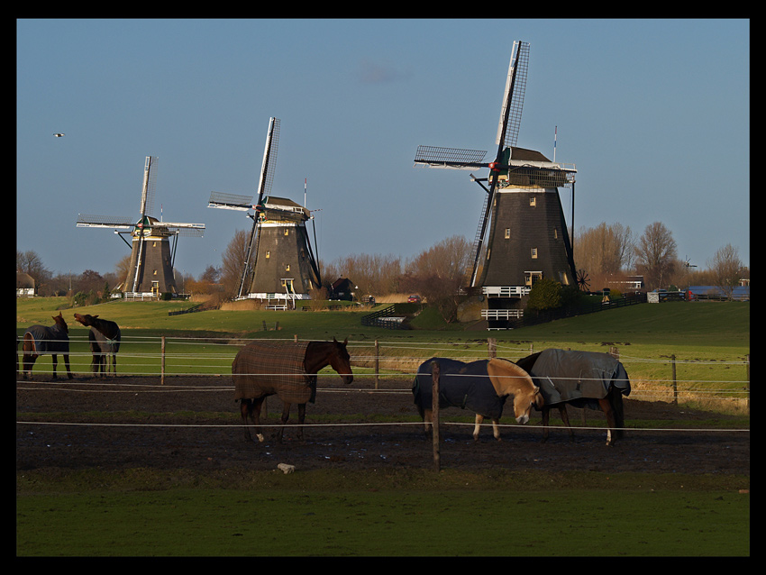 Leidschendam