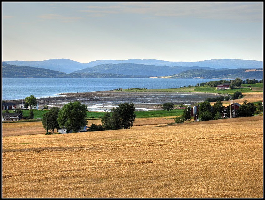 Krajobraz zbożowo-fiordowy