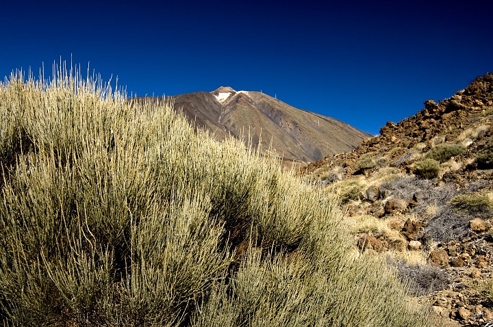 Teide