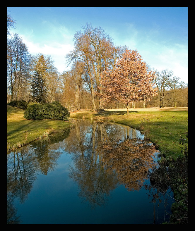 Park Mużakowski