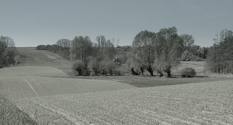 Pagórki, dolinki.