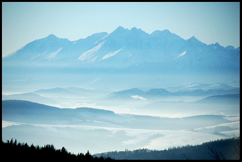 Tatry widziane z Jaworzyny Krynickiej