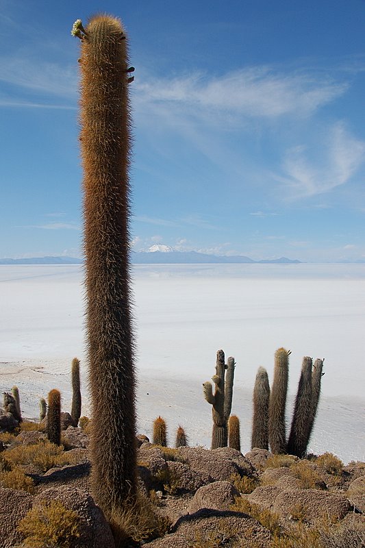 Isla del Pescadores