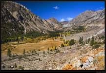 Yosemite National Park cz. II