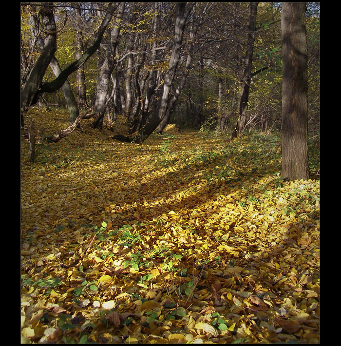 pażdziernikowe wspomnienia