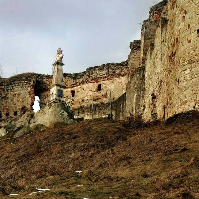 Naczelnik