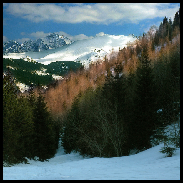 Tatry