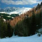 Tatry