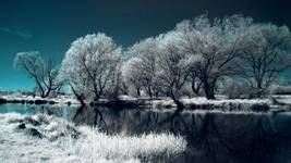 Infrared Photography