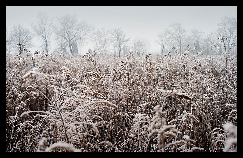 Sosnowiec Środula