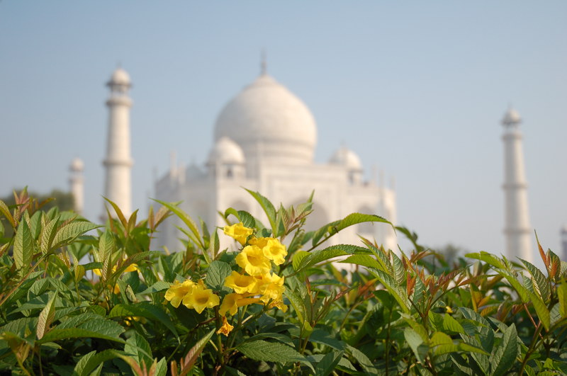 Taj Mahal