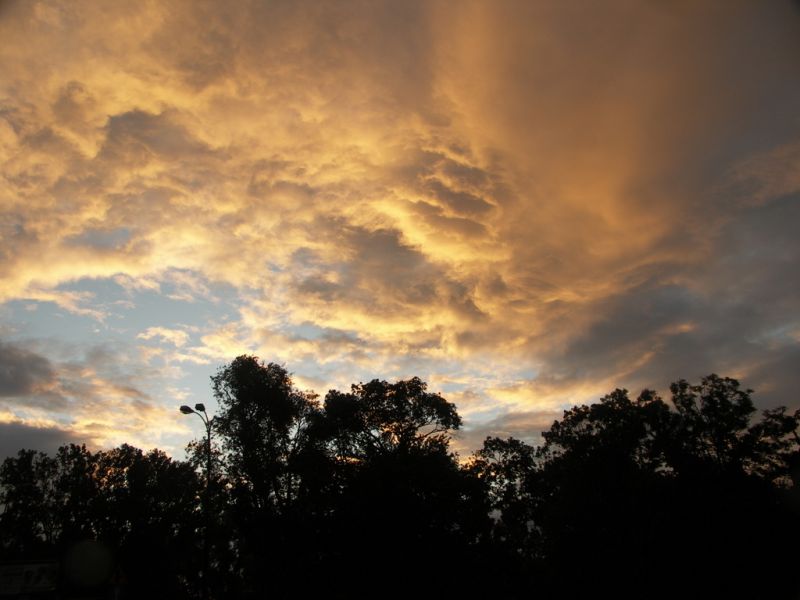 Niebo nad Saską Kępą