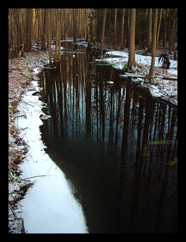 strumień Migówka