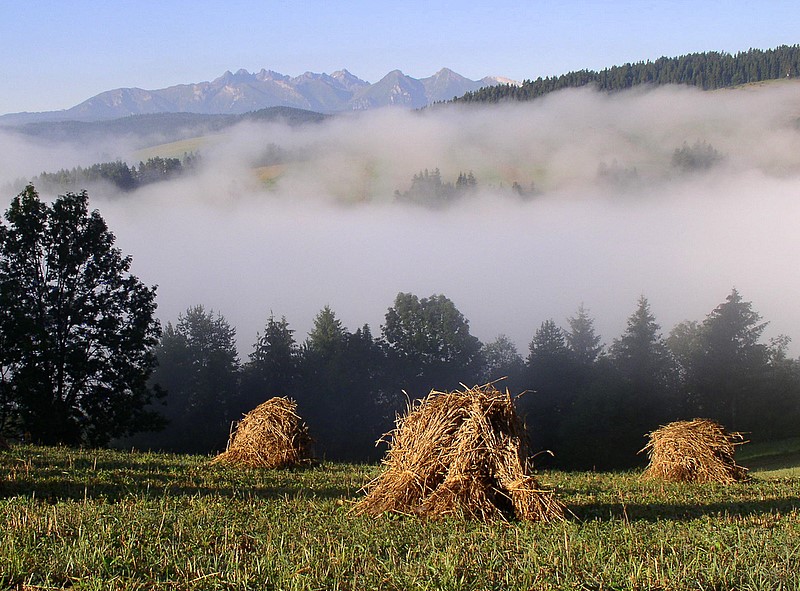 Sierpniowy poranek w Pieninach