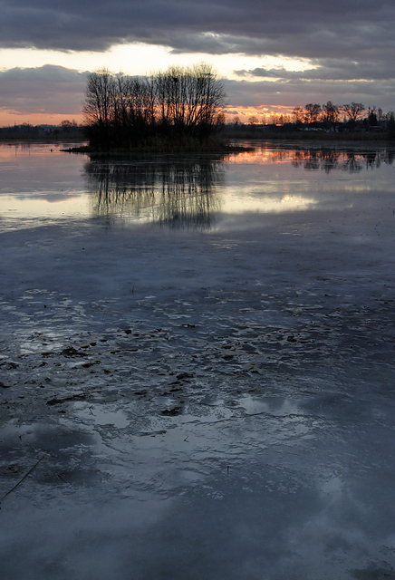 Poranek nad stawem