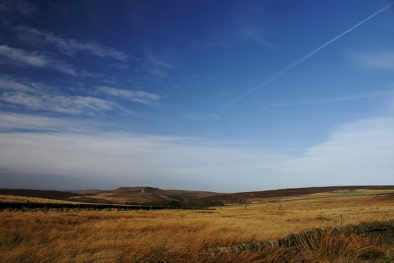 moorland