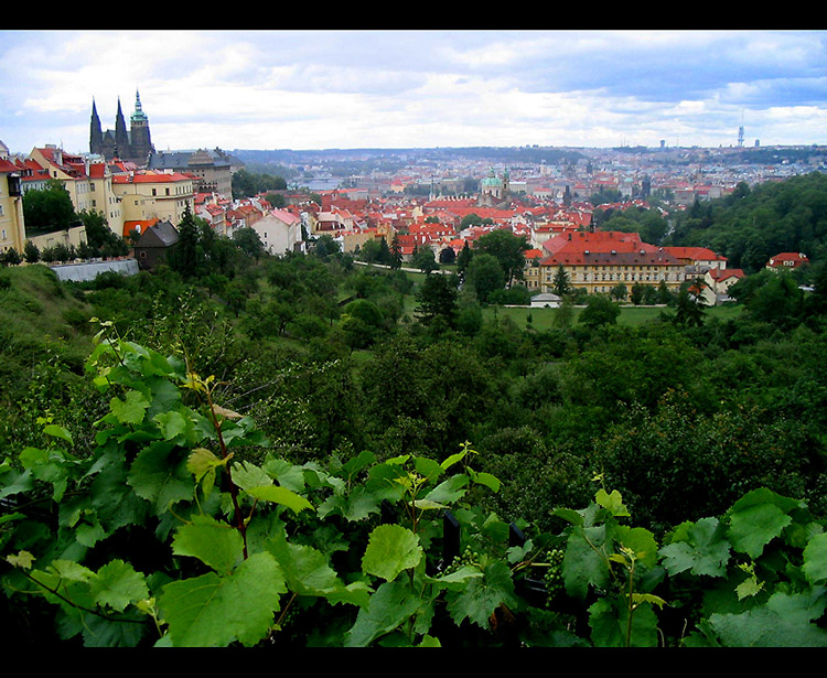 Praga