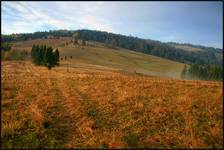 Pieniny (II)...