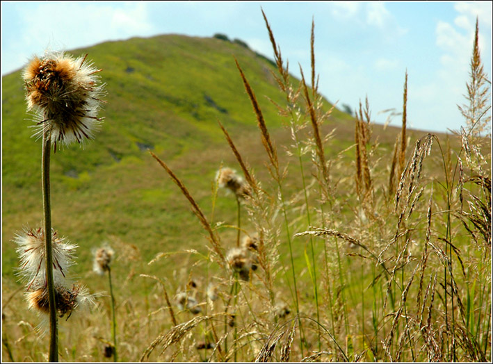 Bieszczady 2007