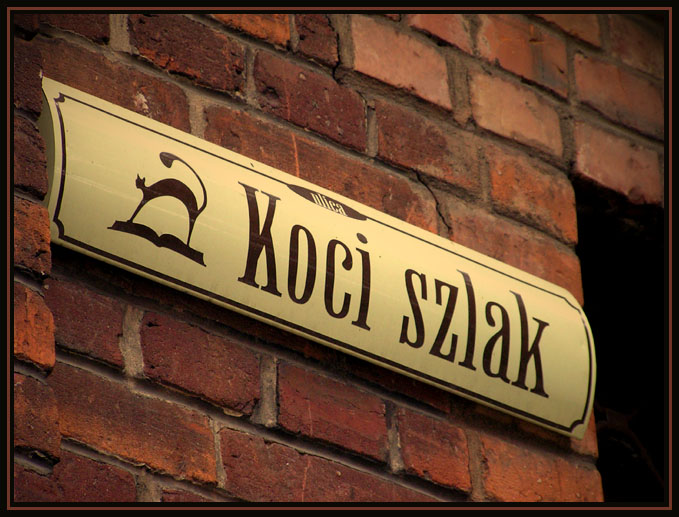 koci szlak ;)