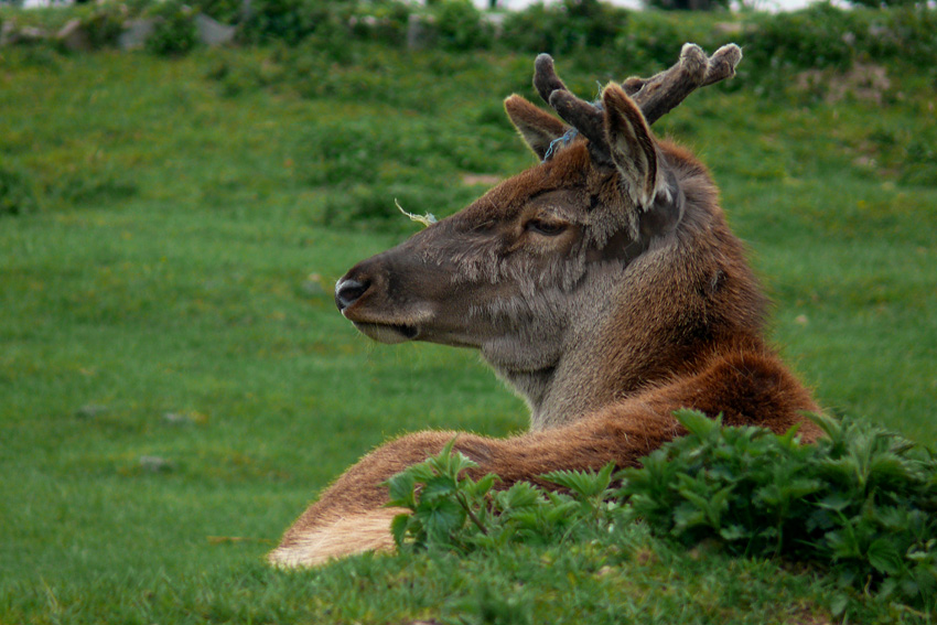 w zamojskim zoo