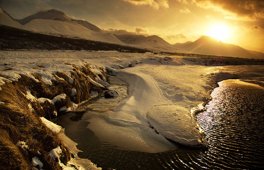 Coffee style in Iceland