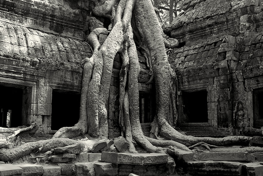 Ta-Prohm