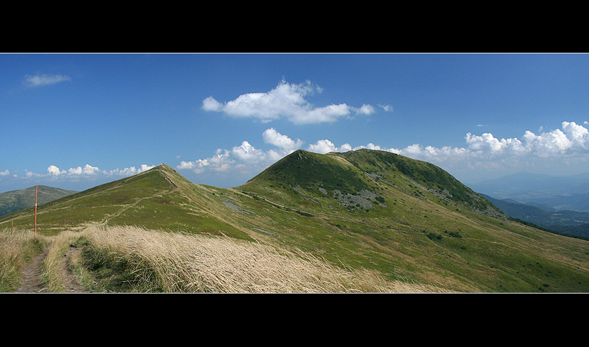 Tarnica