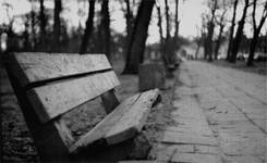 Bench