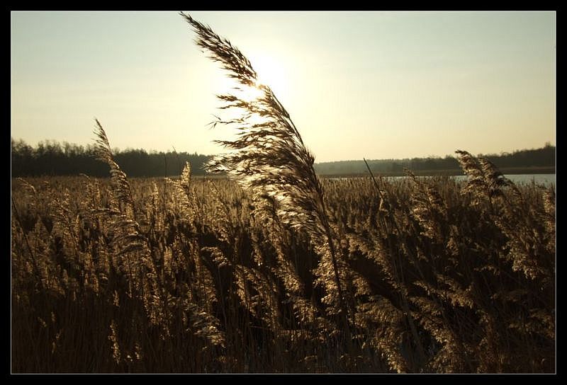 w słońcu skąpane