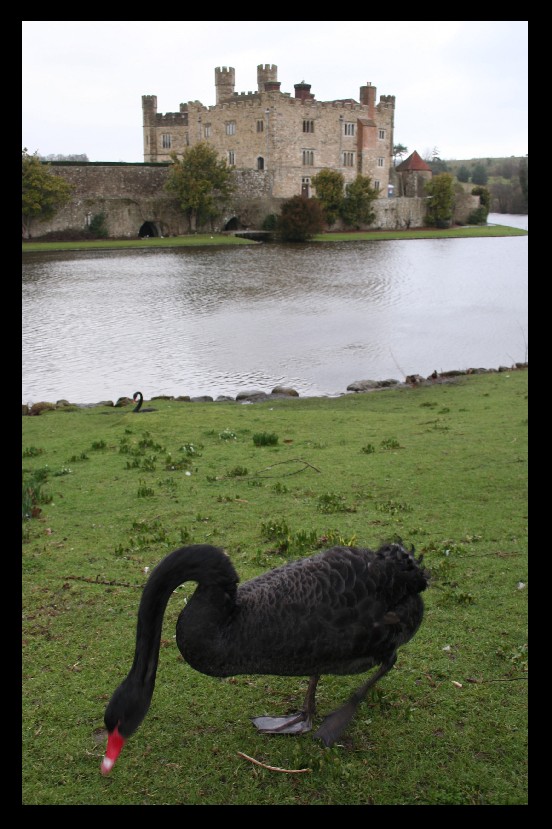 Leeds Castle, Kent, Anglia