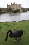 Leeds Castle, Kent, Anglia