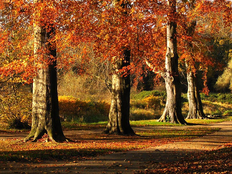 Jesień w Seaton Park