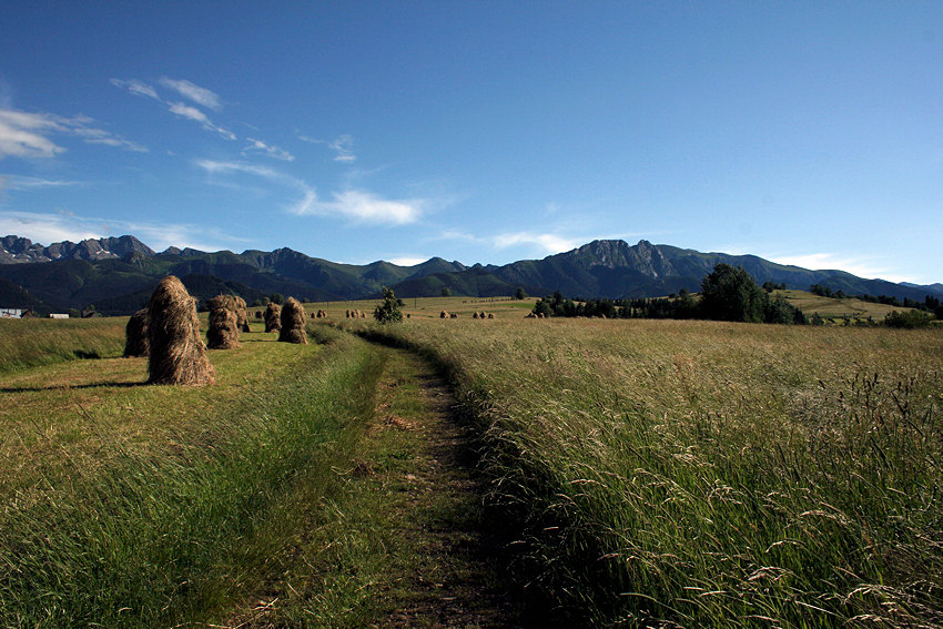 Tatry