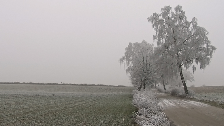 Powrotów ciąg dalszy II...