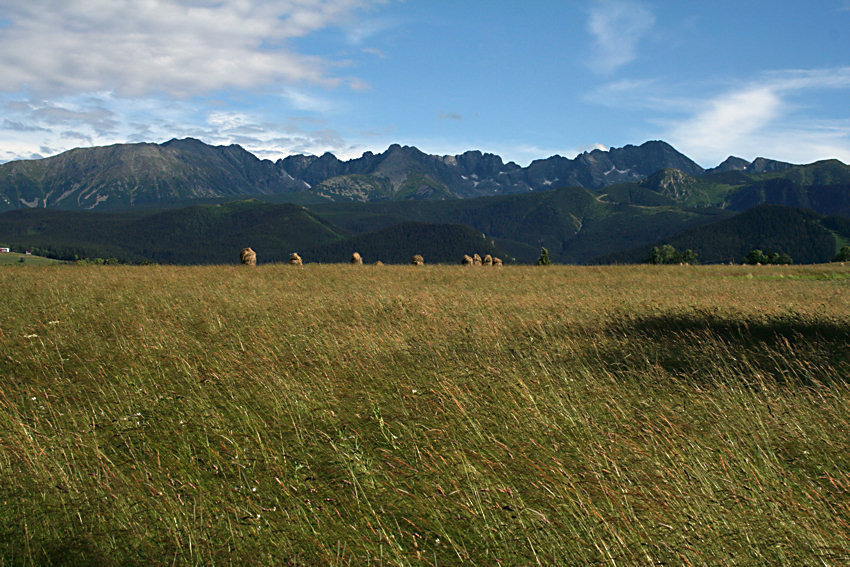 Tatry