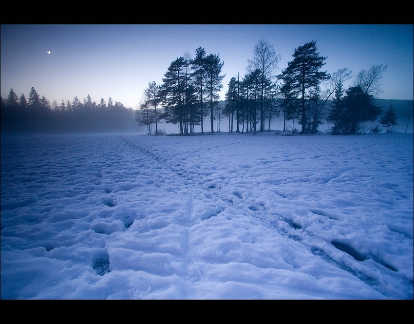 Sognsvann