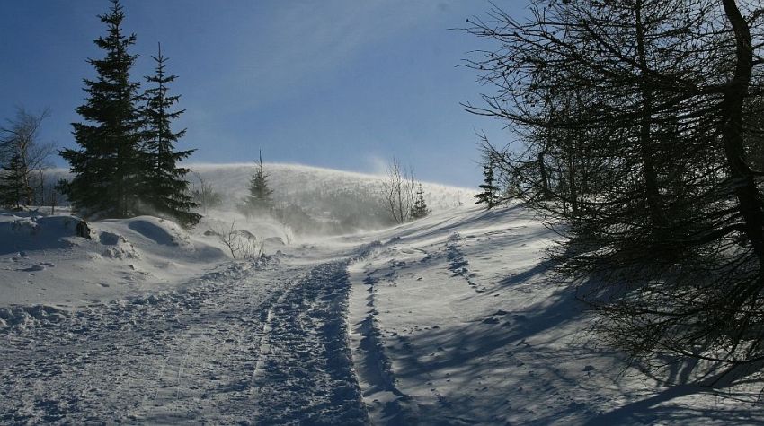 W drodze na Śnieżkę