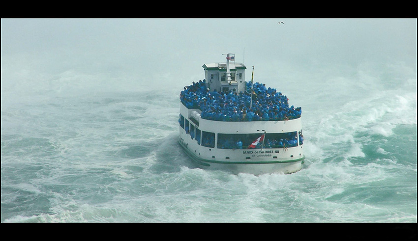 MAID of the MIST